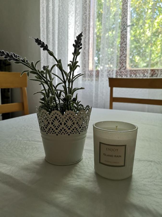 Apartment Kalavojna Rakalj Dış mekan fotoğraf